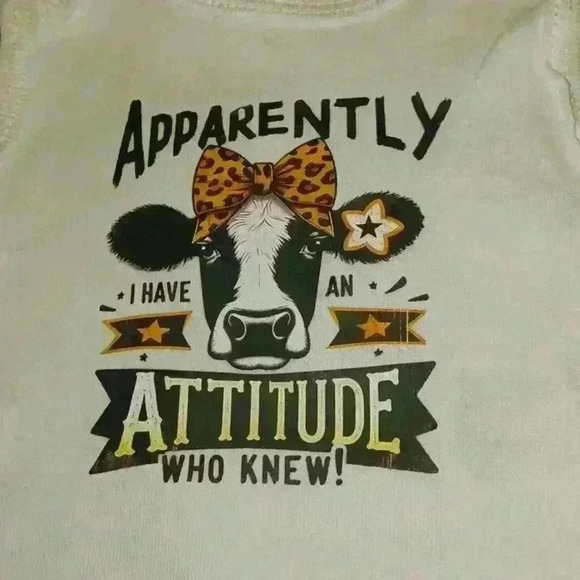 NWOT - Handmade White New Born Bodysuit - Apparently I Have A Attitude Who Knew! - Picture 1 of 5